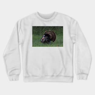 Spring Tom Turkey Strutting in green grass Crewneck Sweatshirt